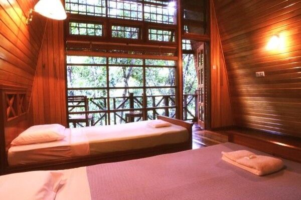 Inside a large wooden cabin looking out at the rainforest