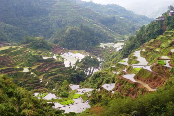 Cordillera Rice Terraces, Philippines