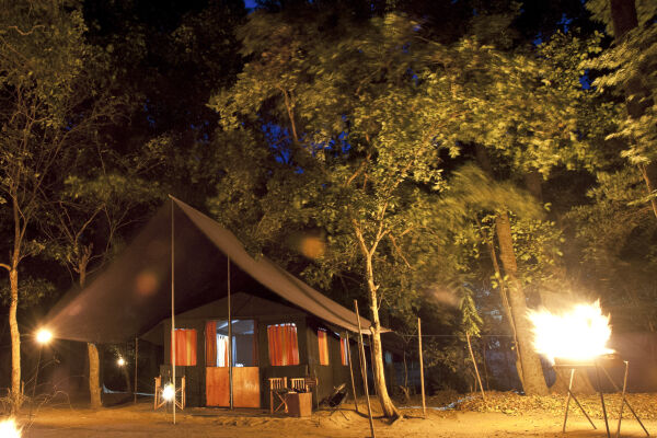 Safari tent in the Sri Lankan undergrowth