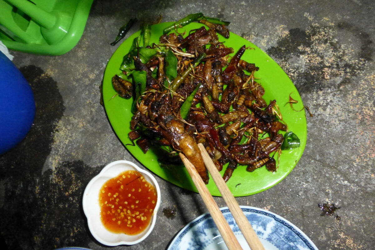 How to eat insects