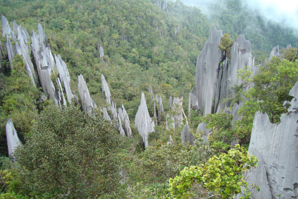 Get under Borneo's surface in Gunung Mulu caves
